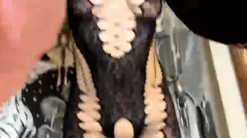 YourPrettyLittleCumSlut online show from 02/22/25, 03:34