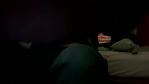 Snapshot of yourslav3696969 chatting on 01/12/25, 06:27 Big loads online show from 01/12/25, 06:27