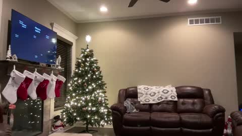 yourstrulylivy online show from 12/11/24, 01:26
