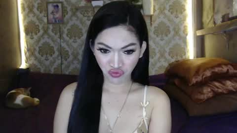 tin online show from 02/04/25, 12:19