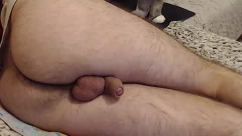 Yowlo online show from 09/22/25, 03:30