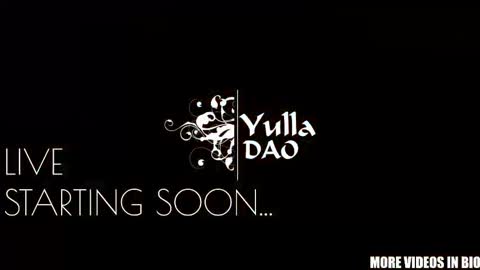 Snapshot of yulladao chatting on 02/22/26, 04:38 yulla dao online show from 02/22/26, 04:38