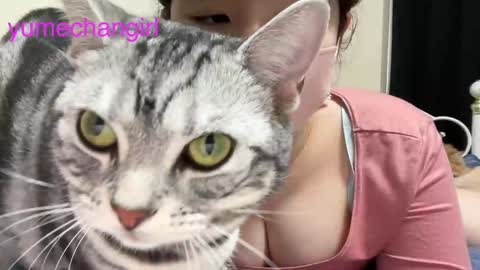 YumechangirlAnime Fan    online show from 02/06/25, 03:16