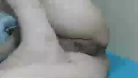 yummy72747 online show from 07/14/26, 10:32