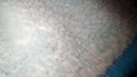 yuyu33333284475 online show from 01/22/25, 03:52