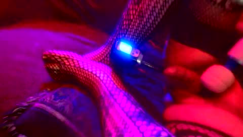 Snapshot of z0rl0c chatting on 10/04/25, 05:38 Z0RL0C online show from 10/04/25, 05:38