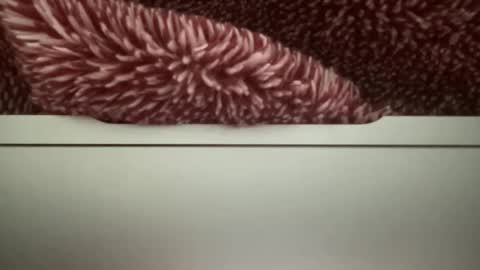 Snapshot of z95141 chatting on 10/22/25, 03:56 z95141 online show from 10/22/25, 03:56