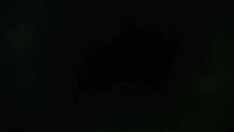 Snapshot of zamara_latam chatting on 12/02/24, 12:29 KAAL online show from 12/02/24, 12:29