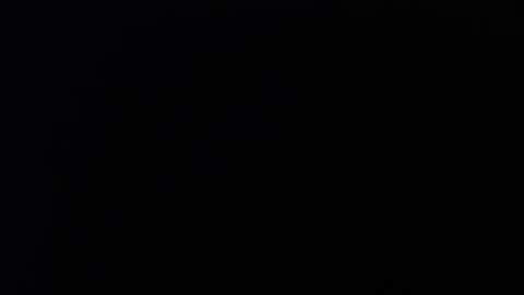 Snapshot of zamara_latam chatting on 12/04/24, 12:47 KAAL online show from 12/04/24, 12:47