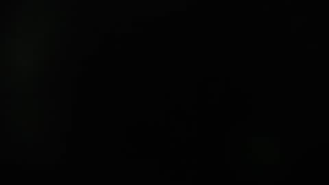 Snapshot of zamara_latam chatting on 12/11/24, 12:12 KAAL online show from 12/11/24, 12:12