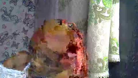 Snapshot of zarinamarlin chatting on 03/18/26, 09:12 zarinamarlin online show from 03/18/26, 09:12