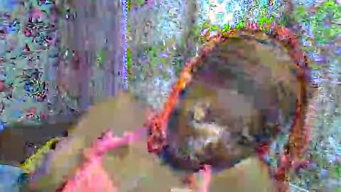 Snapshot of zarinamarlin chatting on 04/03/26, 06:00 zarinamarlin online show from 04/03/26, 06:00