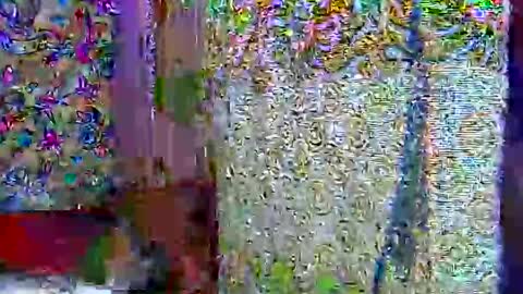 Snapshot of zarinamarlin chatting on 04/09/26, 07:03 zarinamarlin online show from 04/09/26, 07:03