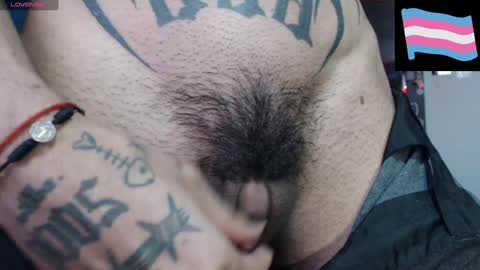 Zeldris online show from 02/08/25, 10:51