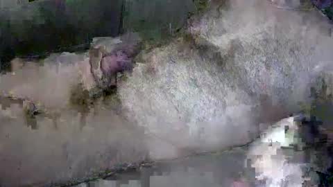 zepincam online show from 10/13/25, 05:18