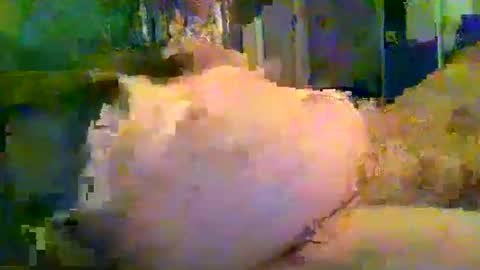 Snapshot of zero0zero123 chatting on 09/27/25, 09:53 zero0zero123 online show from 09/27/25, 09:53