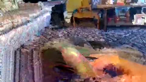 Snapshot of zerrannor chatting on 11/01/25, 09:00 Zerr online show from 11/01/25, 09:00