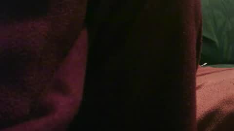 zevioo77 online show from 12/26/24, 08:21