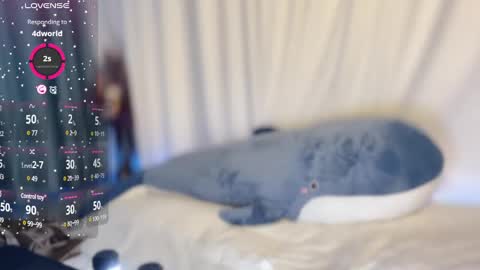 zhu_zhu_38f online show from 12/11/24, 07:31