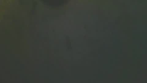 Snapshot of zomma44 chatting on 05/27/26, 03:03 zomma44 online show from 05/27/26, 03:03