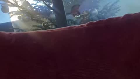 Velesk online show from 12/08/24, 01:36