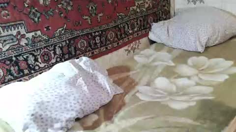 Zulfiya online show from 07/25/26, 06:27