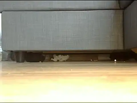Snapshot of Squirtlady38 chatting on 02/13/25, 01:26 Squirtlady38 online show from 02/13/25, 01:26