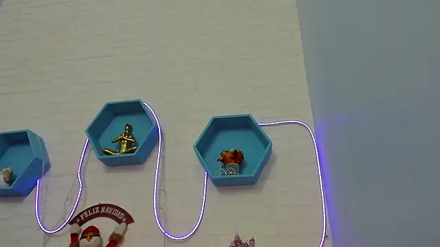 veronica salas online show from 12/18/24, 08:36