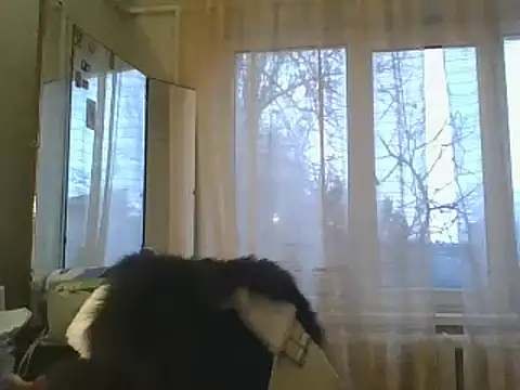 ShawnaAdams online show from 12/15/24, 01:54