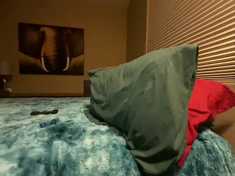 Bwcjoshbanks online show from 01/31/25, 05:30