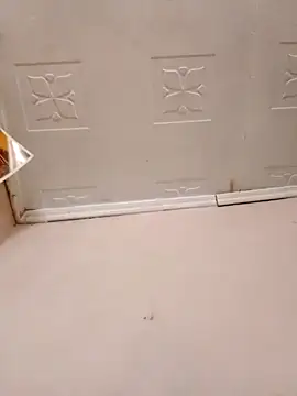 pretty-donna online show from 10/21/25, 04:57