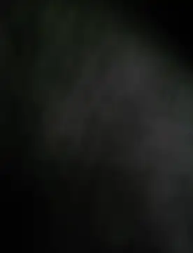 Snapshot of deshifuckers chatting on 12/15/24, 11:34 deshifuckers online show from 12/15/24, 11:34
