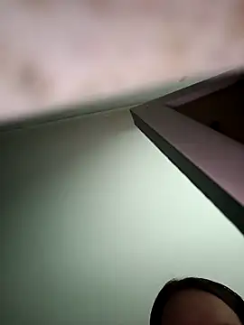 Snapshot of bruna_safadinhaa chatting on 11/13/25, 11:53 bruna safadinhaa online show from 11/13/25, 11:53