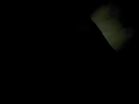 j hollywood91 online show from 12/02/25, 05:46