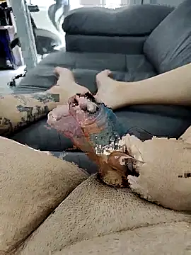 pete 97 online show from 09/21/25, 03:02