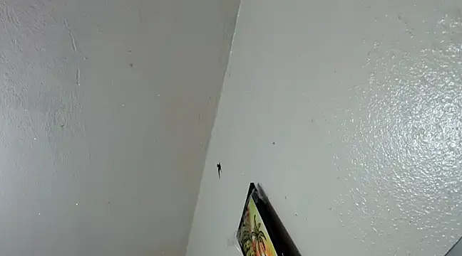 Snapshot of katery_wok11 chatting on 03/21/25, 07:33 katery wok11 online show from 03/21/25, 07:33