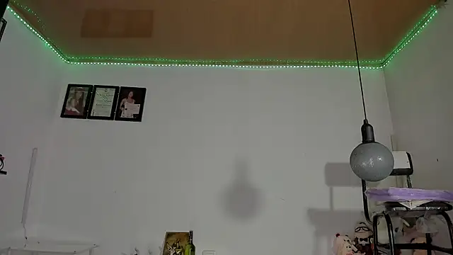 shannon kane  online show from 01/21/25, 03:54