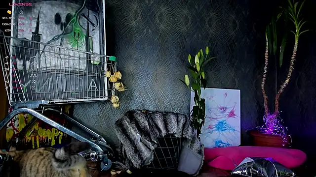 Snapshot of little_grinch666 chatting on 01/30/25, 07:59 little grinch666 online show from 01/30/25, 07:59