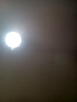 TrainedFinder5 online show from 09/30/25, 08:14