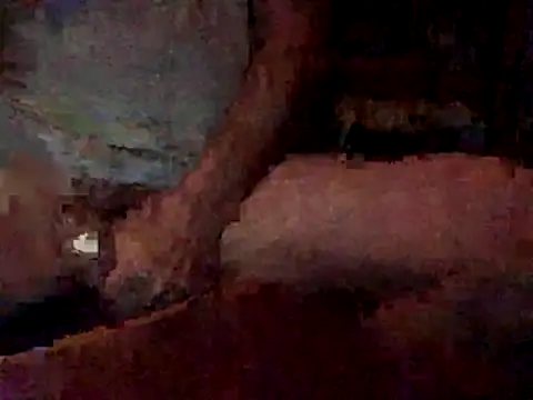 Nodsride online show from 12/22/25, 03:36