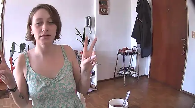 stupid babybird online show from 12/28/24, 05:46