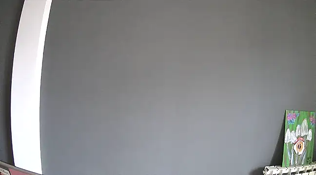 stupid babybird online show from 01/30/25, 04:55