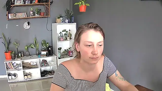 stupid babybird online show from 02/28/25, 07:03