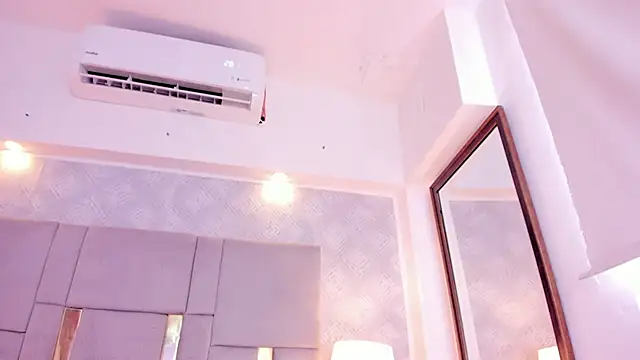 Camilaa Sanchez  online show from 12/29/24, 05:54