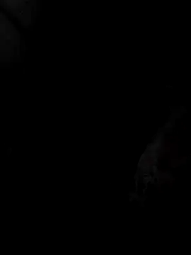 mia69x online show from 12/04/25, 02:37