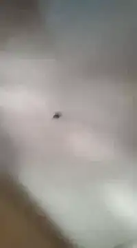 gala2 online show from 03/05/25, 06:01