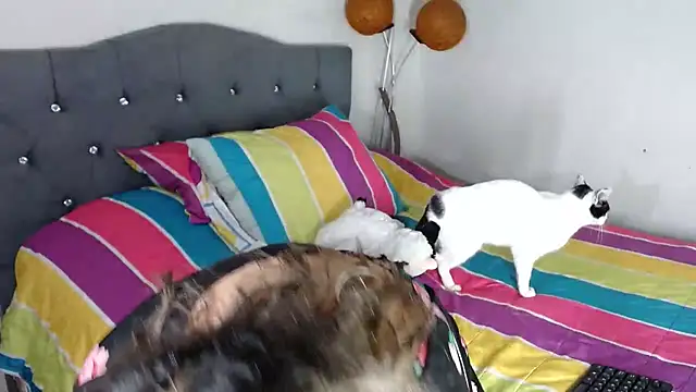 Chantal hott online show from 10/18/25, 11:16