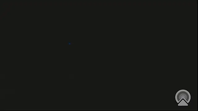 EXOTICLEXXXI online show from 02/11/26, 08:58