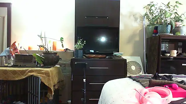 CeceilaMoon online show from 07/14/26, 04:23