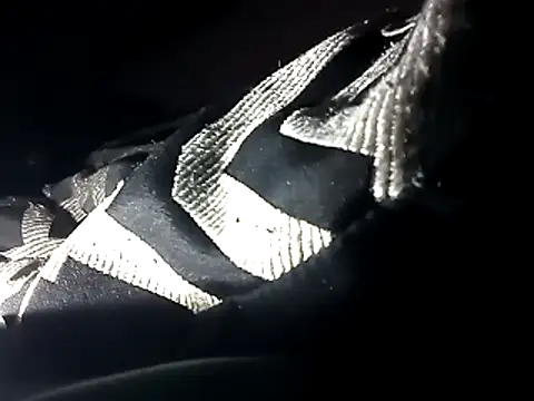 Snapshot of Blkstylion chatting on 12/04/25, 04:05 Blkstylion online show from 12/04/25, 04:05